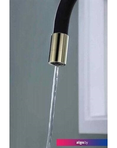 Смеситель Salix Sa213419-G (черный/золото) Paulmark