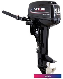 Лодочный мотор T9.8 BMS Parsun