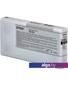 Картридж C13T913900 Epson