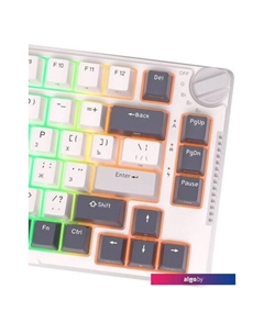 Клавиатура RK-H81 RGB (белый, RK Brown) Royal kludge