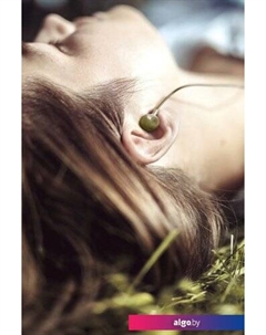 Наушники HE21K Acme