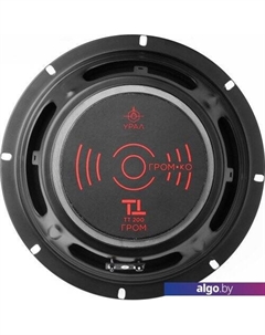 Среднечастотная АС ТТ 200 Гром Урал