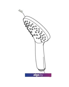 Душевая лейка Gem F0290064 Am.pm