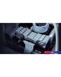 Оперативная память FURY Renegade 16ГБ DDR5 8000 МГц KF580C38RW-16 Kingston