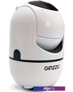 IP-камера HWD-2302A Ginzzu