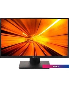 Моноблок P24BP 2416500 Tesla