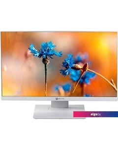 Моноблок P24WP 2116500 Tesla