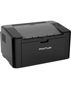 Принтер P2516 Pantum