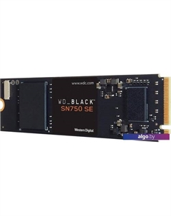 SSD Black SN750 SE 1TB S100T1B0E Wd