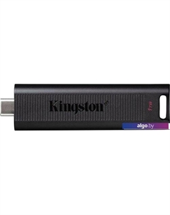 USB Flash DataTraveler Max 1TB Kingston