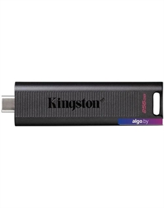 USB Flash DataTraveler Max 256GB Kingston