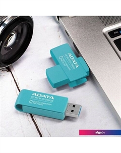USB Flash UC310E 64GB UC310E-64G-RGN Adata