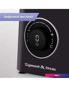 Стационарный блендер BS-446 D Zigmund & shtain