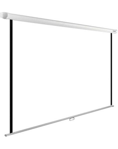 Проекционный экран WallExpert 200x150 CS-PSWE-200x150-WT Cactus