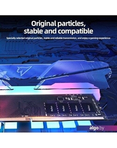 Оперативная память Shadow RGB 2x8ГБ DDR4 2666МГц NTSRD4P26DP-16E Netac