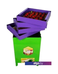 Сушилка для овощей и фруктов Сухофрукт В02 Узби