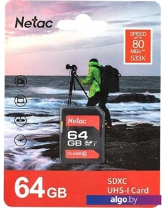 Карта памяти P600 64GB NT02P600STN-064G-R Netac