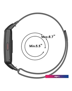 Браслет Milanese loop металлический для Huawei Band 6 / Honor Band 6 (хамелеон) Rumi