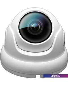 IP-камера HID-2302A Ginzzu