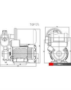 Насосная станция TGP125 Pumpman