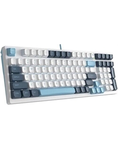 Клавиатура Fstyler FS300 Panda Snowboarding A4tech