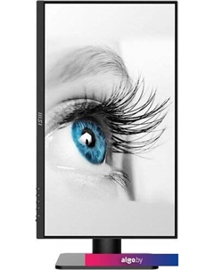 Монитор Pro MP243P Msi