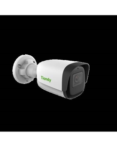 IP-камера TC-C34QN I3/E/Y/4mm/V5.0 Tiandy