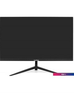 Монитор ProSmart EV2407A EX294344RUS Exegate