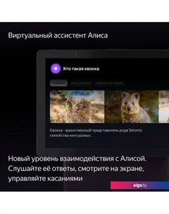 Колонка с умным дисплеем Станция Дуо Макс (красный) Яндекс