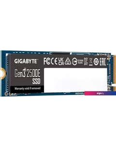 SSD Gen3 2500E 2TB G325E2TB Gigabyte