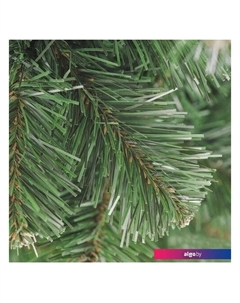 Ель Арктика 1.5 м Бифорес