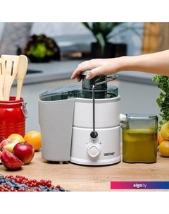 Соковыжималка ZJE3800 Zelmer