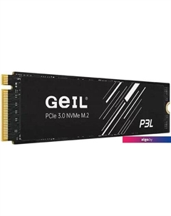 SSD P3L 2TB P3LFD16I2TBA Geil