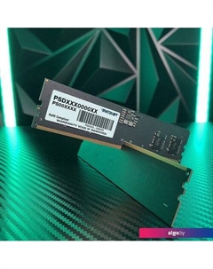 Оперативная память Signature Premium Line 32ГБ DDR5 4800МГц PSP532G48002H1 Patriot