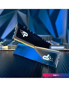 Оперативная память Signature Premium 16ГБ DDR5 5200МГц PSP516G520081H1 Patriot