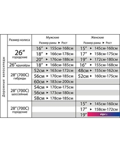 Велосипед Barcelona STD р.19 2021 Stinger
