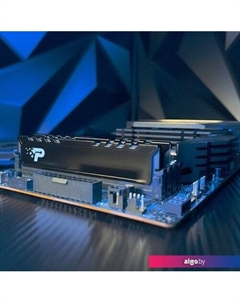 Оперативная память Signature Premium 8ГБ DDR5 4800МГц PSP58G480041H1 Patriot
