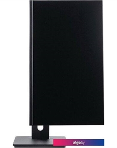 Игровой монитор T238A Lime