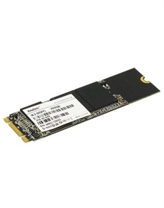SSD NT-256-2280 256GB Kingspec