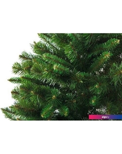 Ель Сибирь 1.9 м Бифорес