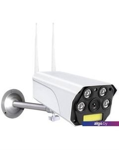 IP-камера IPC-270S Ritmix