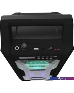 Колонка для вечеринок SP-830B Ritmix