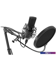 Микрофон RDM-169 Ritmix