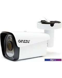 IP-камера HIB-2301S Ginzzu