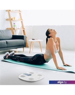 Напольные весы КТ-808 Kitfort