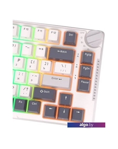 Клавиатура RK-H81 RGB White Night (RK Cyan) Royal kludge