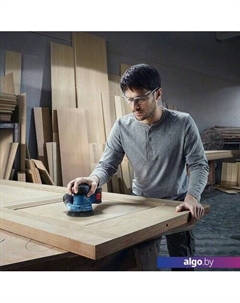 Эксцентриковая шлифмашина GEX 185-LI Professional 06013A5021 (с 1-м АКБ, кейс) Bosch