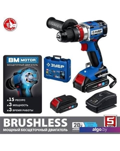 Ударная дрель-шуруповерт Профессионал DBS-201-22 (с 2-мя АКБ, кейс) Зубр