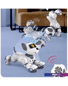 Интерактивная игрушка BG1533 Subotech