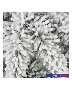 Ель Аврора 2.5 м Dommelochi